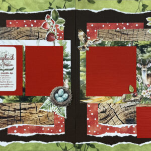 Mintay Wildwood Secrets