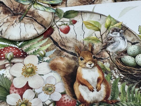 Mintay Wildwood Secrets