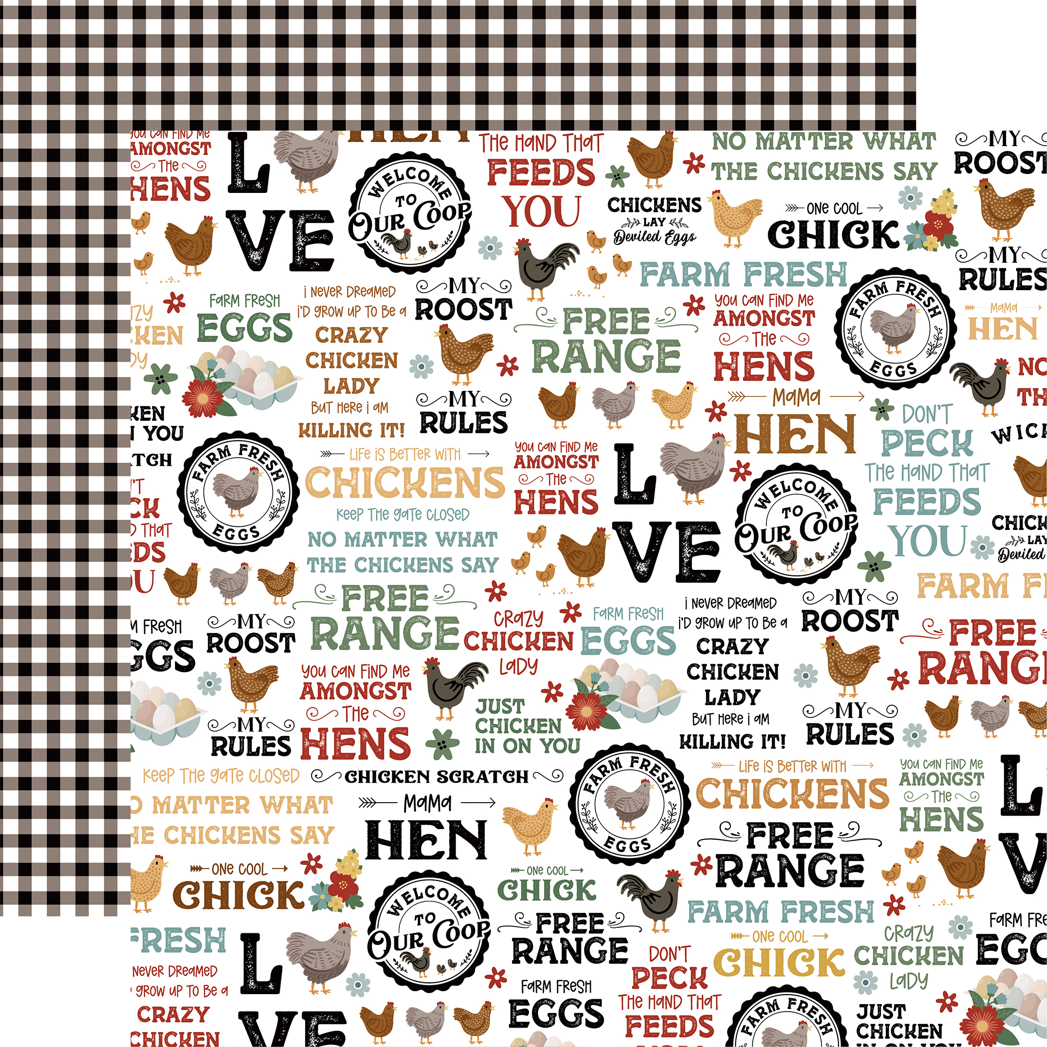 Echo Park Chickens 12X12 Free Range Phrases
