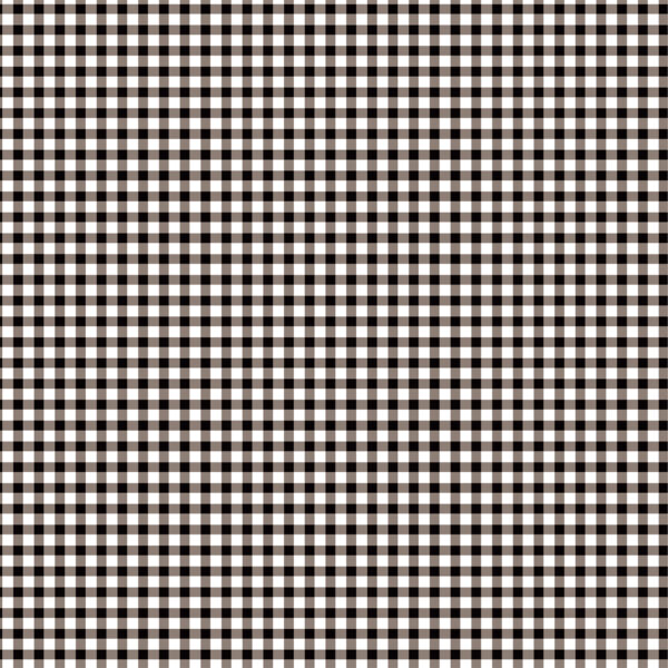 Echo Park Chickens 12X12 Free Range Phrases