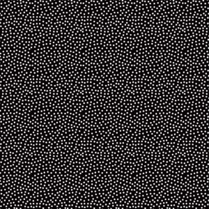 Echo Park Chickens 12X12 Multi Journaling Cards