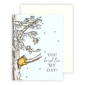 Echo Park Greeting Cards You Brighten My Day Winnie