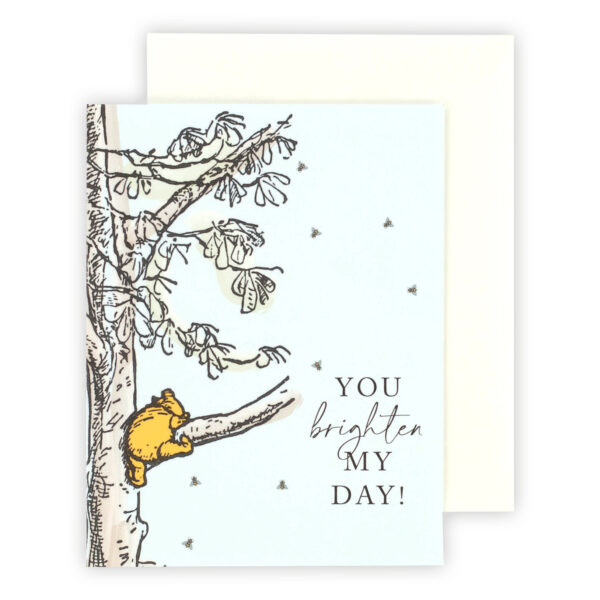 Echo Park Greeting Cards You Brighten My Day Winnie