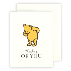 Echo Park Greeting Cards Thinking of You Winnie