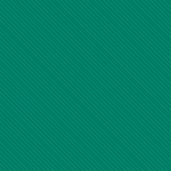 Echo Park Vroom! 12X12 Life Is A Highway