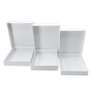 RANGER DYLUSIONS NESTING BOXES