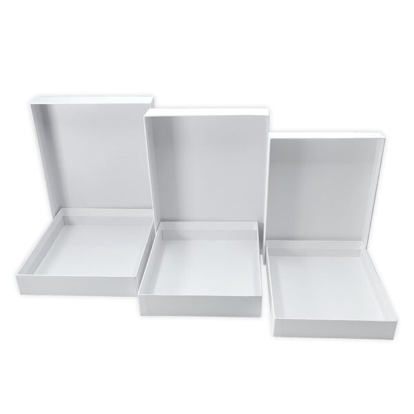 RANGER DYLUSIONS NESTING BOXES