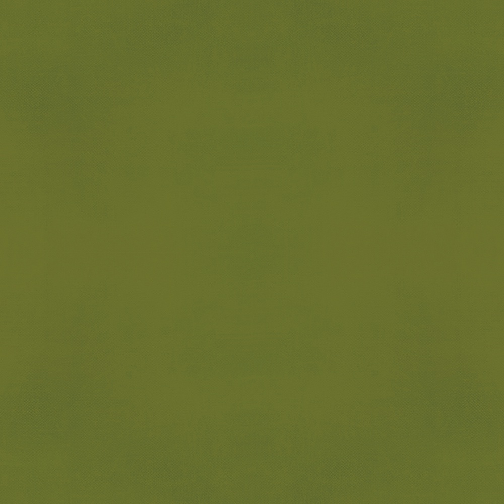 SIMPLE STORIES COLOR VIBE 12X12 AVOCADO