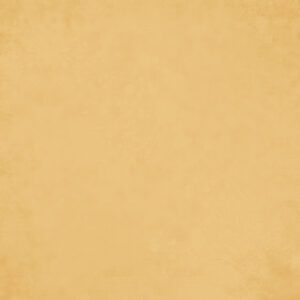 Simple Stories Simple Vintage Autumn Breeze Saffron Gingham