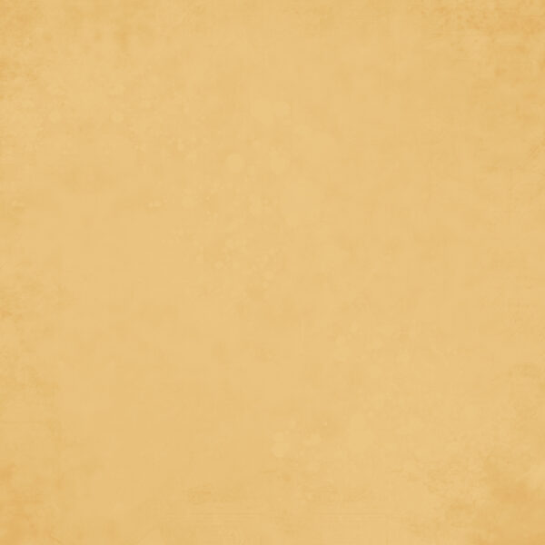 Simple Stories Simple Vintage Autumn Breeze Saffron Gingham