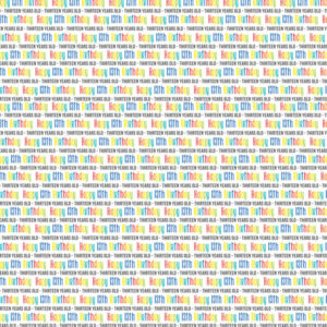 SCRAPBOOK CUSTOMS 12X12 BIRTHDAY 13TH