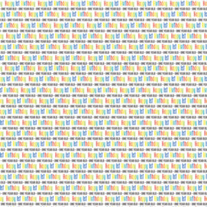 SCRAPBOOK CUSTOMS 12X12 BIRTHDAY 1ST