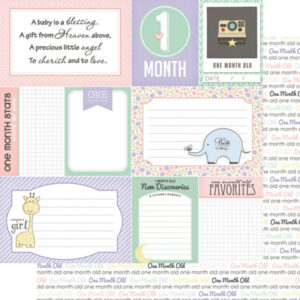 SCRAPBOOK CUSTOMS 12X12 BABY GIRL 1ST MONTH