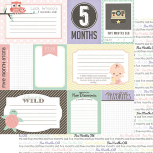 SCRAPBOOK CUSTOMS 12X12 BABY GIRL 5TH MONTH