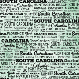 SCRAPBOOK CUSTOMS POSTAGE MAP 12X12 SOUTH CAROLINA
