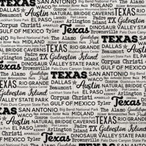 SCRAPBOOK CUSTOMS POSTAGE MAP 12X12 TEXAS