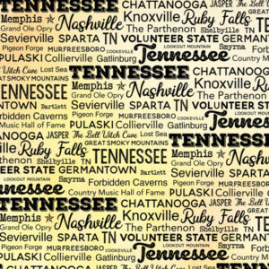 SCRAPBOOK CUSTOMS POSTAGE MAP 12X12 TENNESSEE