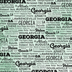 SCRAPBOOK CUSTOMS POSTAGE MAP 12X12 GEORGIA