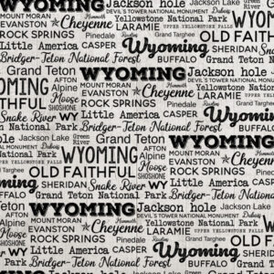 SCRAPBOOK CUSTOMS POSTAGE MAP 12X12 WYOMING
