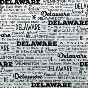 SCRAPBOOK CUSTOMS POSTAGE MAP 12X12 DELAWARE