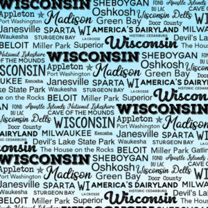 SCRAPBOOK CUSTOMS POSTAGE MAP 12X12 WISCONSIN