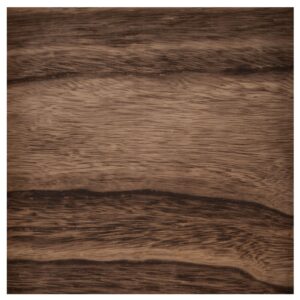 ADVANTUS TIM HOLTZ IDEAOLOGY VIGNETTE DISPLAY PANEL