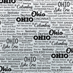 SCRAPBOOK CUSTOMS POSTAGE MAP 12X12 OHIO