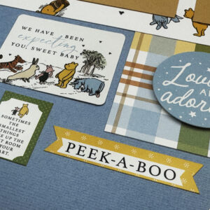 Echo Park Winnie the Pooh Baby