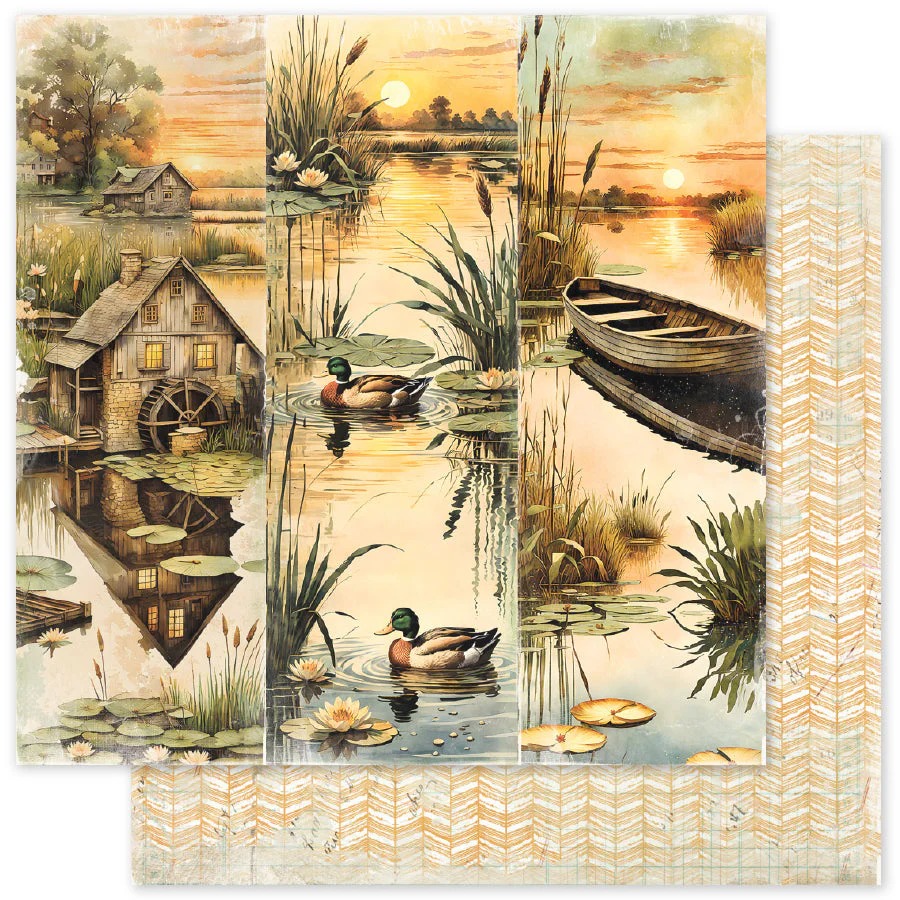 Paper Roses Lakeside Memories F 12 X 12 Paper