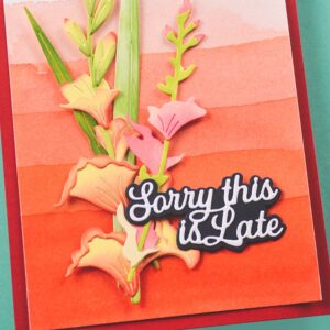 Memory Box Everyday Sentiment Die Sorry This Is Late