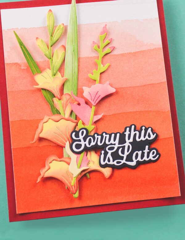 Memory Box Everyday Sentiment Die Sorry This Is Late