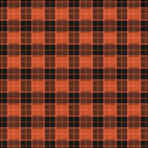 Echo Park Ghosts & Goblins 12X12 Starry Cats