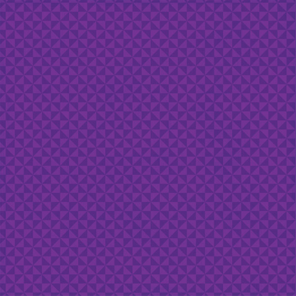 Echo Park Ghosts & Goblins 12X12 Haunting Webs