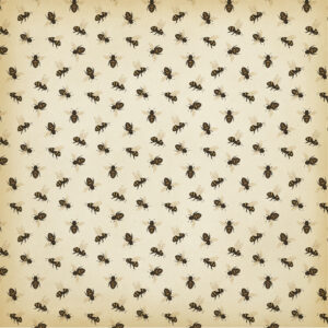 Carta Bella Honey Bee 12X12 Honey Bees