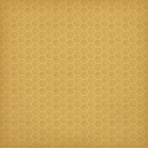 Carta Bella Honey Bee 12X12 Honeycomb Clusters