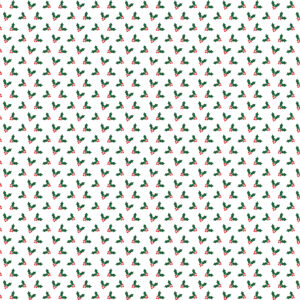 Echo Park Christmas Express 12X12 Christmas Countdown