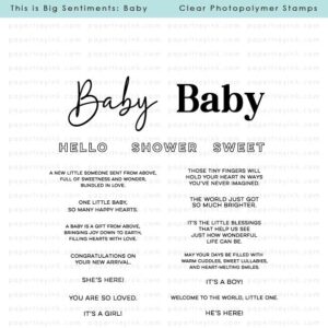 Papertrey Stamp This Is Big Sentiments: Baby