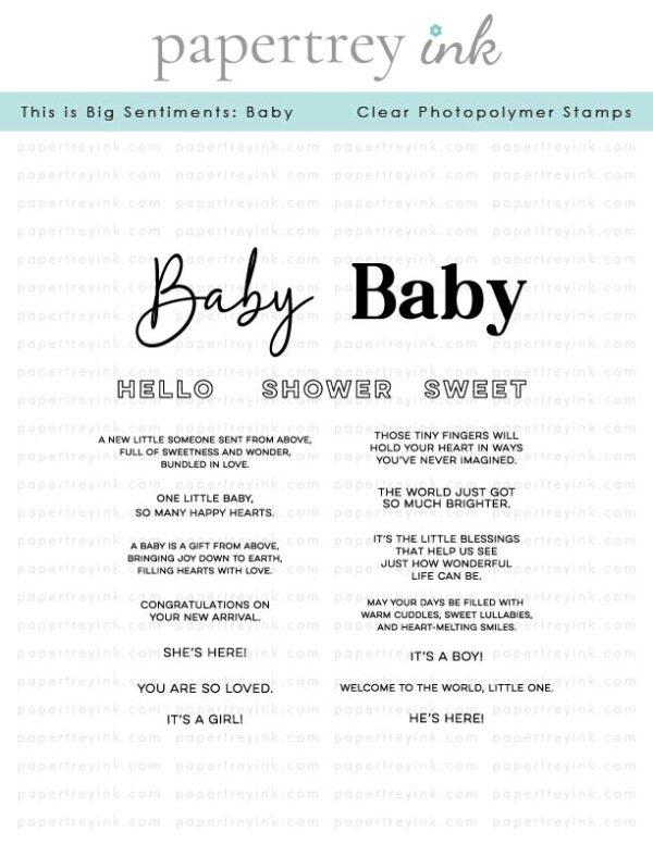 Papertrey Stamp This Is Big Sentiments: Baby