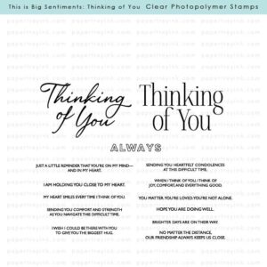 Papertrey Die This Is Big Sentiments: Thinking of You