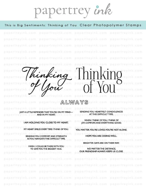 Papertrey Die This Is Big Sentiments: Thinking of You Papertrey Die This Is Big Sentiments: Thinking of You