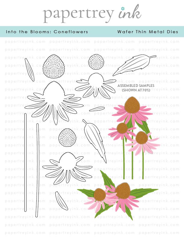 Papertrey Die Into the Blooms: Coneflowers