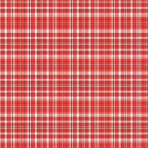 Photo Play Up On the Rooftop 12X12 Jolly Plaid