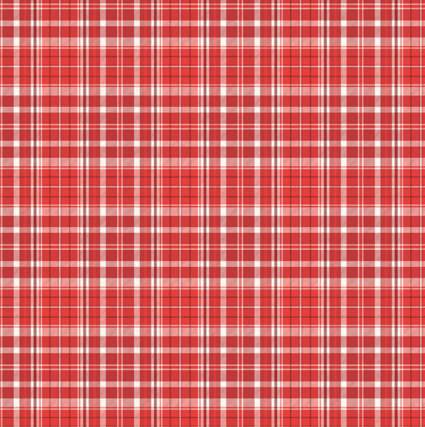 Photo Play Up On the Rooftop 12X12 Jolly Plaid