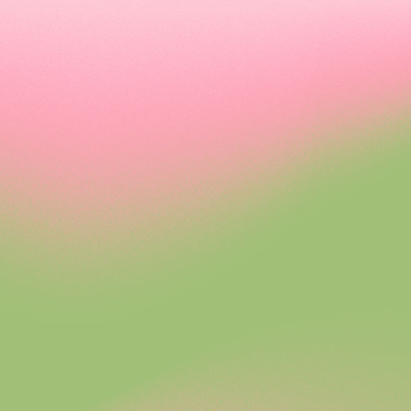 SCRAPBOOK CUSTOMS 12X12 PRINCESS PINK & GREEN