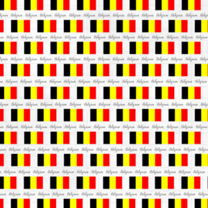 SCRAPBOOK CUSTOMS 12X12 BELGIUM ADVENTURE BORDER