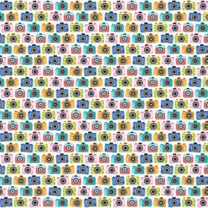 Bella Boulevard Documented 12X12 Captured