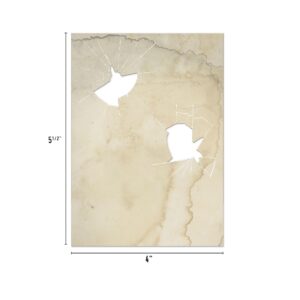 ADVANTUS TIM HOLTZ HALLOWEEN TRANSPARENCIES