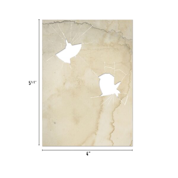 ADVANTUS TIM HOLTZ HALLOWEEN TRANSPARENCIES