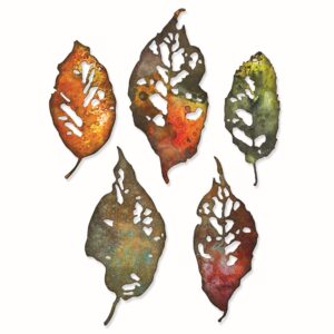 Sizzix Thinlits Die Set 5PK Leaf Fragments By Tim Holtz