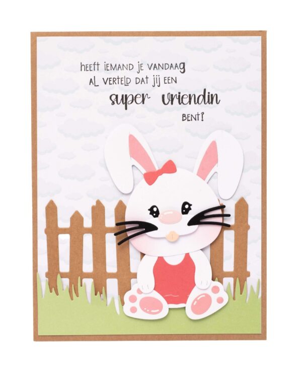 Studio Light Die Benjamin Friendz